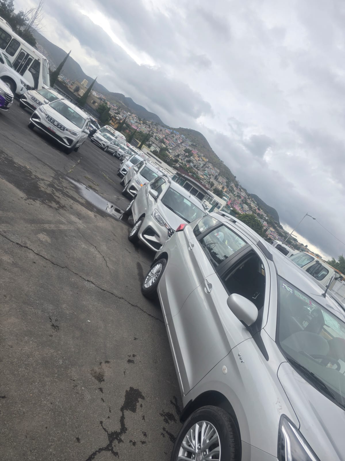 Home whatsapp image 2026 06 12 at 11.51.39 am